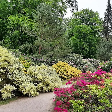 Lägenhet Lovely In *